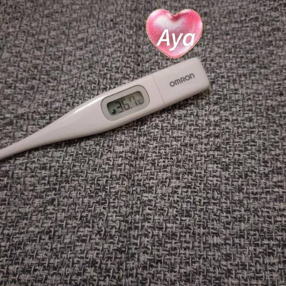 本日の体温