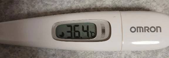 夜は久しぶりに