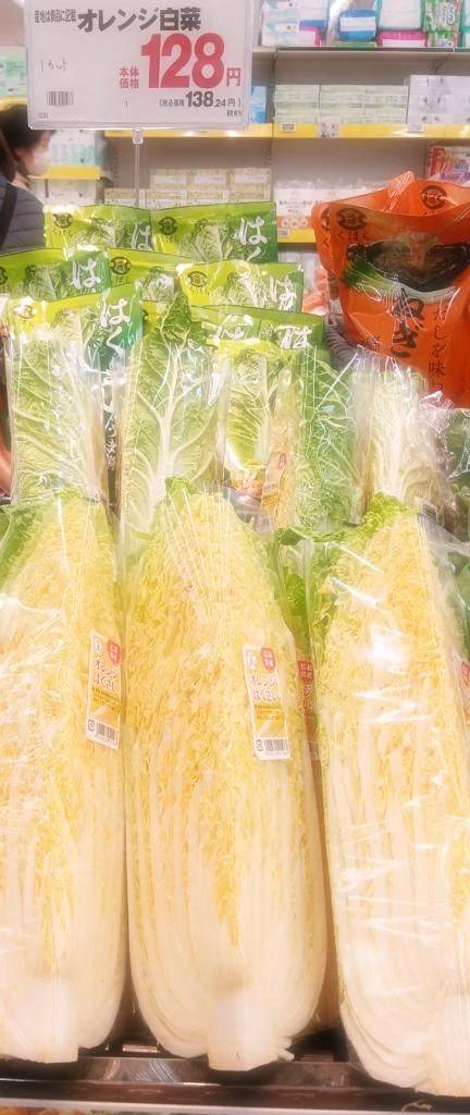 オレンジ白菜知ってる？