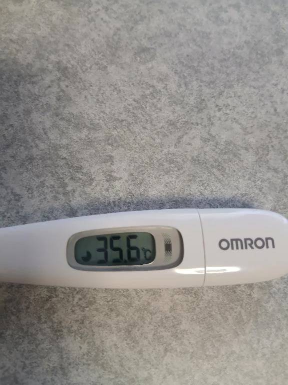 今日は今年最後の出勤に....