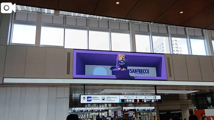 やっと見れた😭