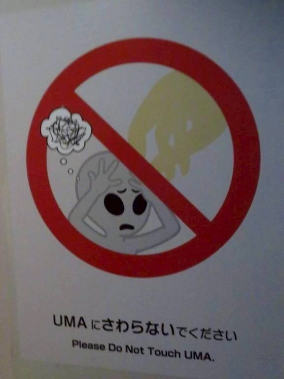 お正月に🥷🏻