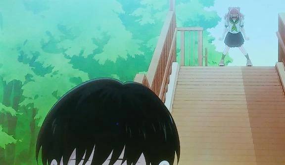 アニメの...正反対の君と僕