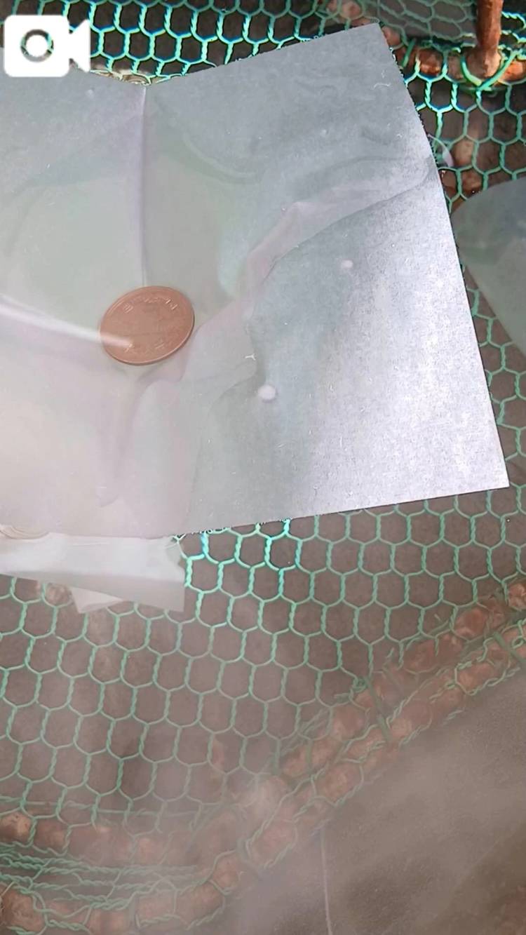 昨年だけ...無かった...