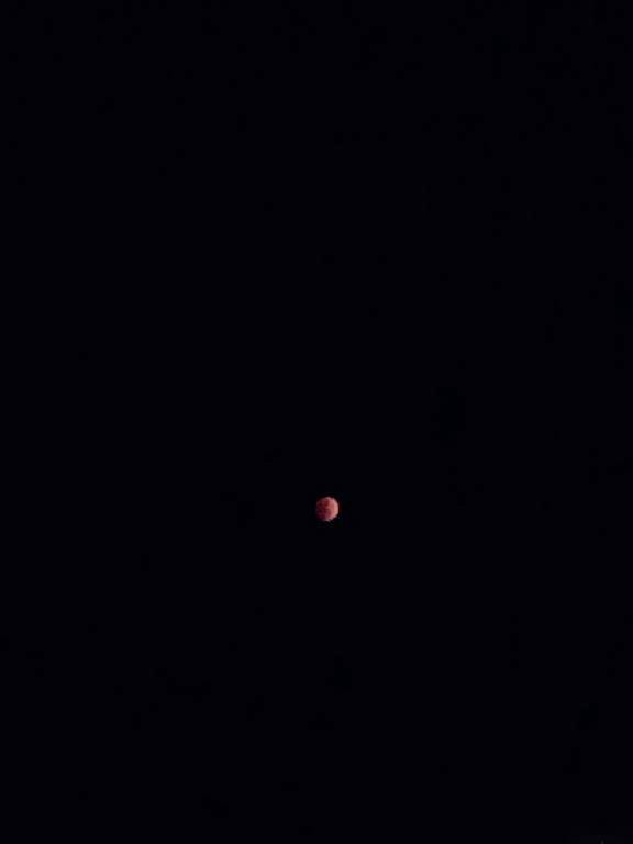 今日は皆既月食です