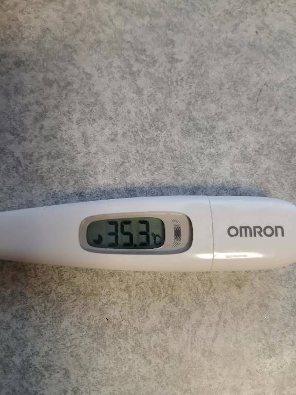 冷凍シューマイランキングで...