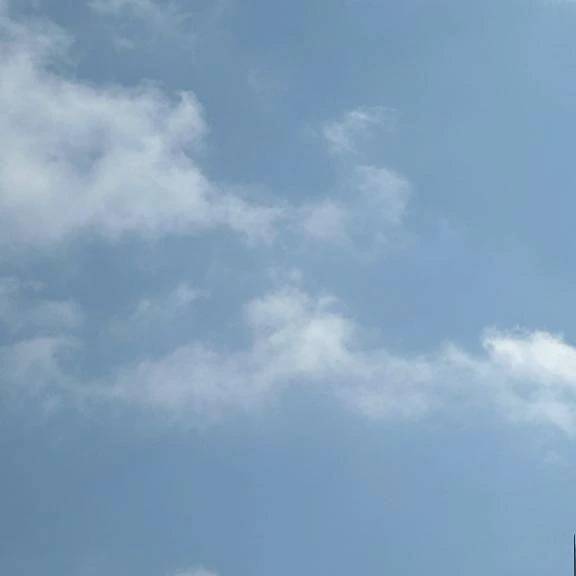 おはようございます☀️