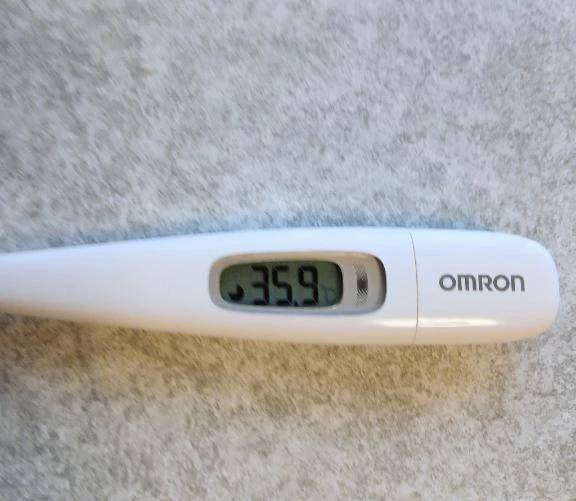 こんな御朱印が...