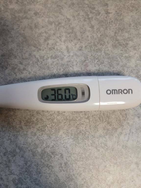 3日目は...雨なので