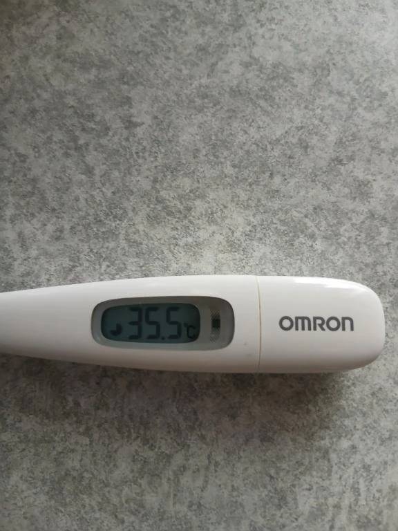 新しいドラマでハマったのは...