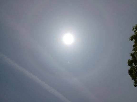 久しぶりに...太陽の虹の輪（ハロ・日暈）