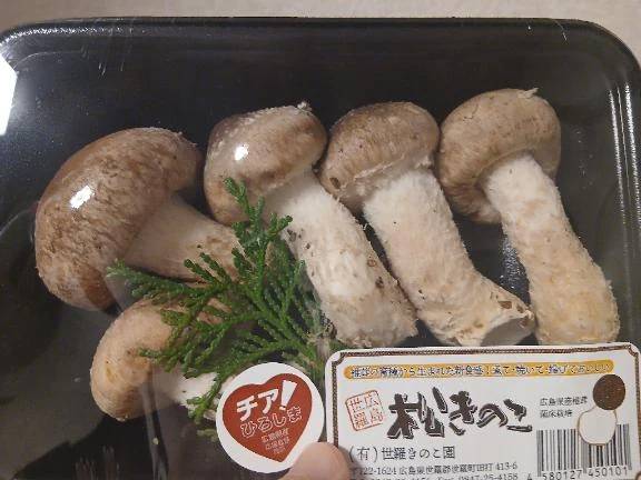 キノコ好きなのと...
