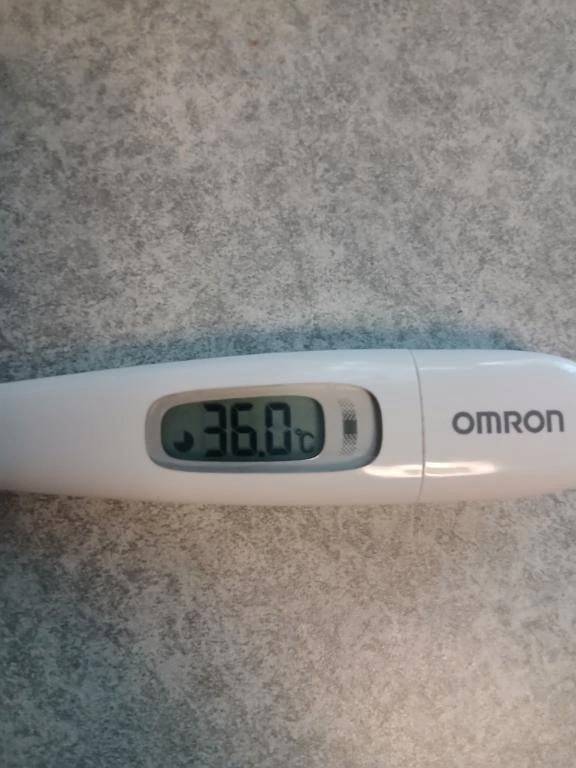 今日から