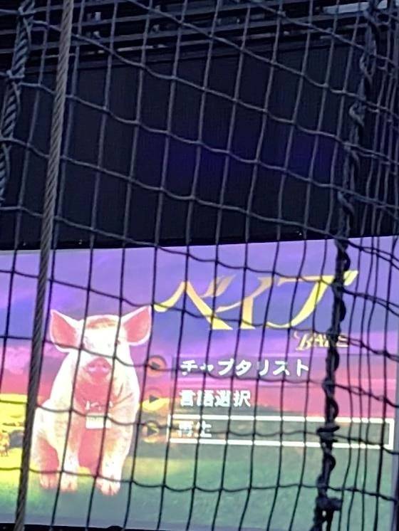 芝生シネマナイト🌙