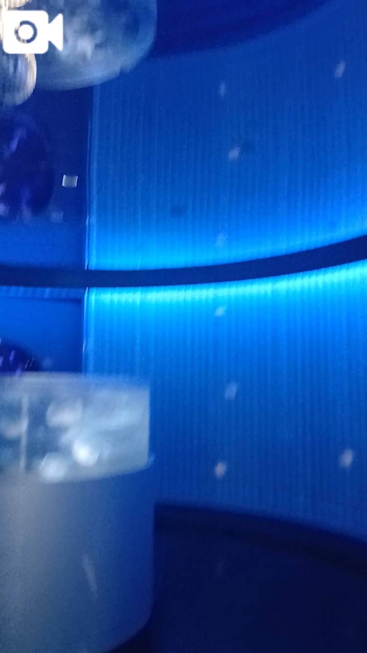 この展示