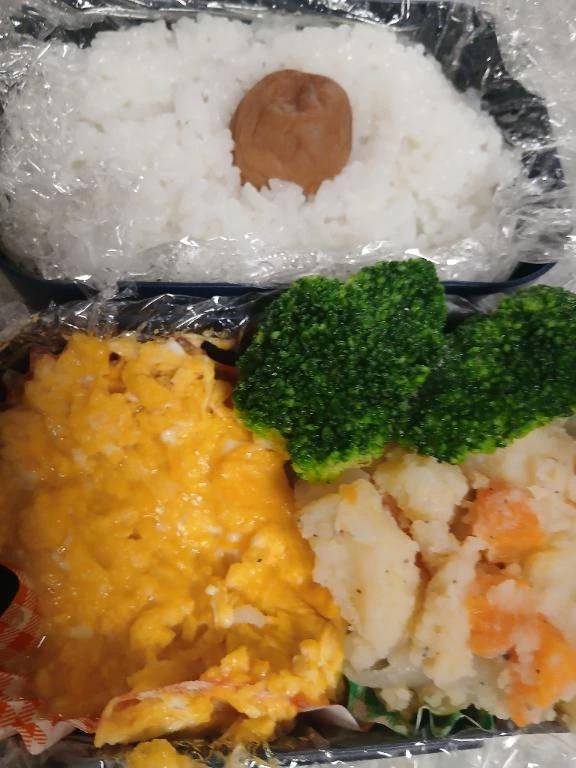 今日の私のお弁当