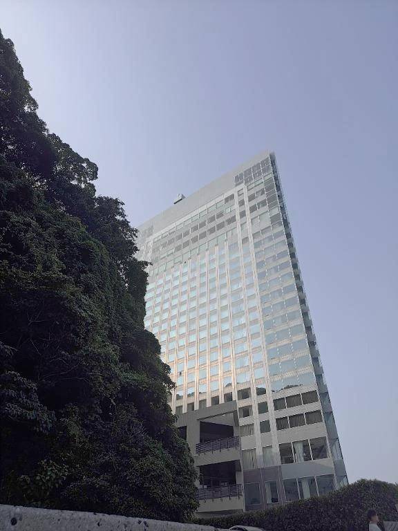 シーグラス⭐