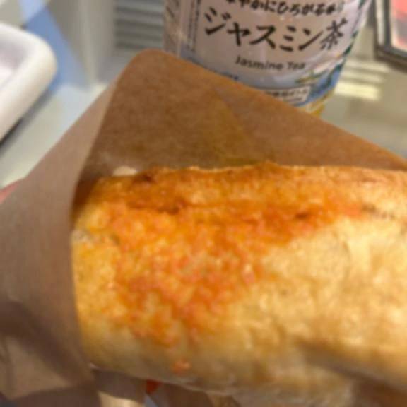 ヴェルシスのリピ様