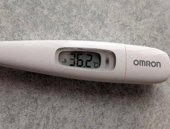 メンパ