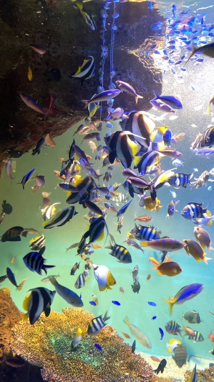 ありがとうございました