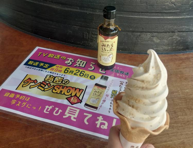 ノリで買ったもの