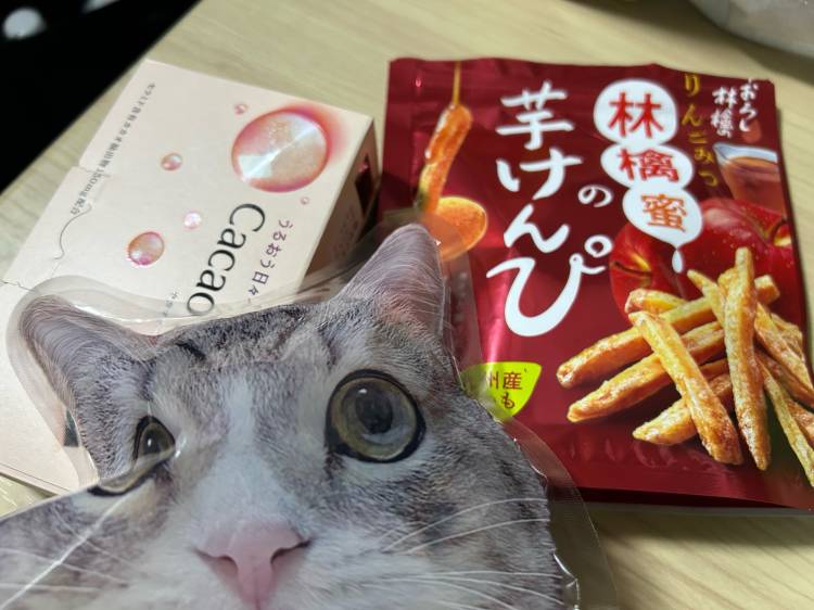 御礼です