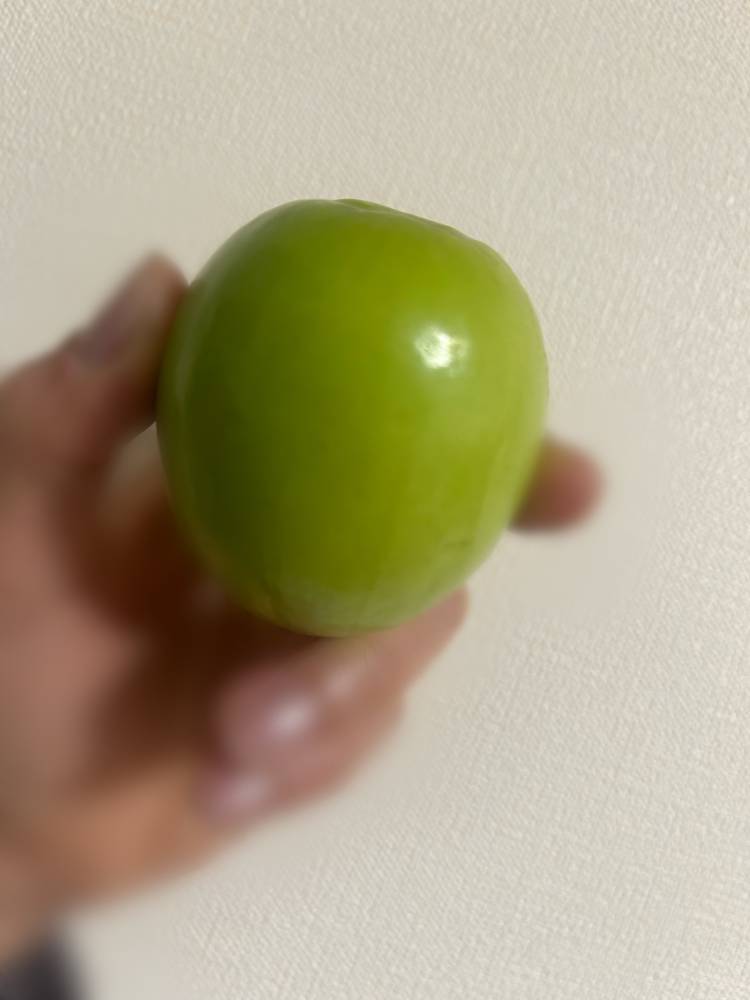 珍しいフルーツ