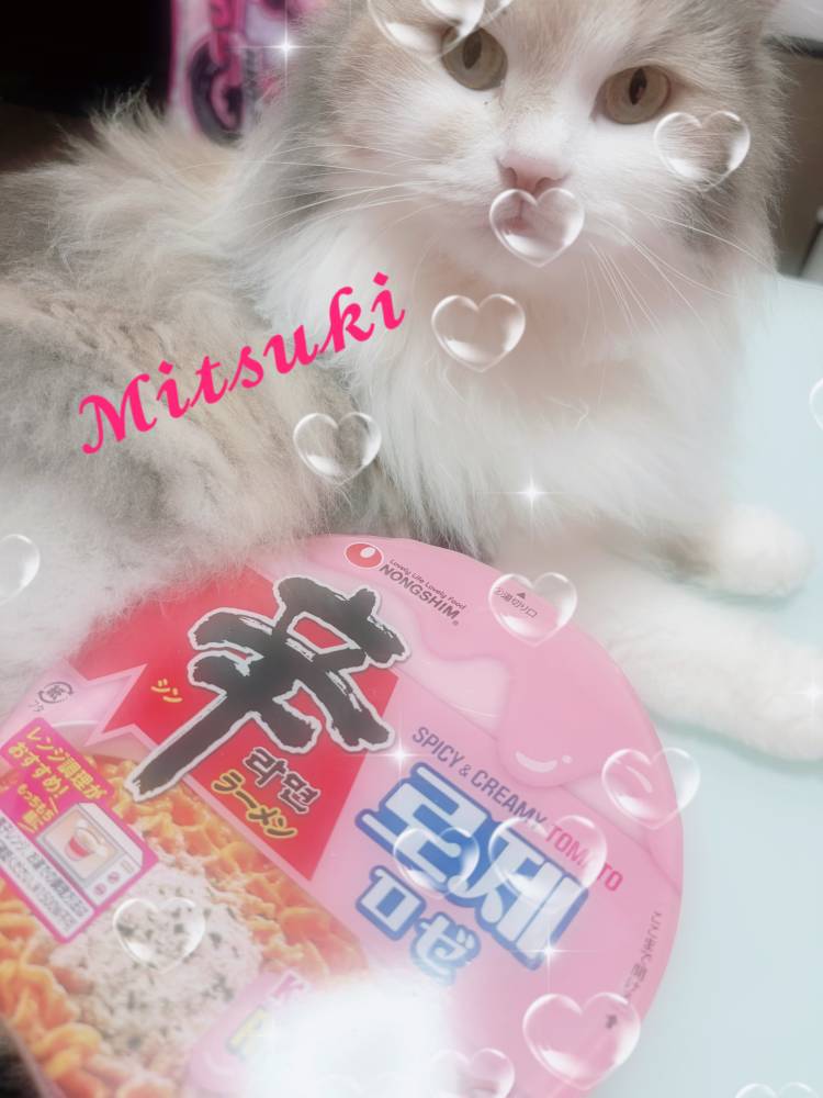 見逃せないやつ