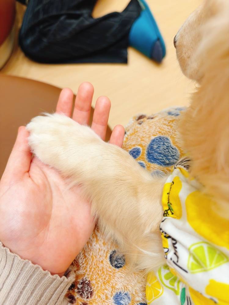 おはようございます
