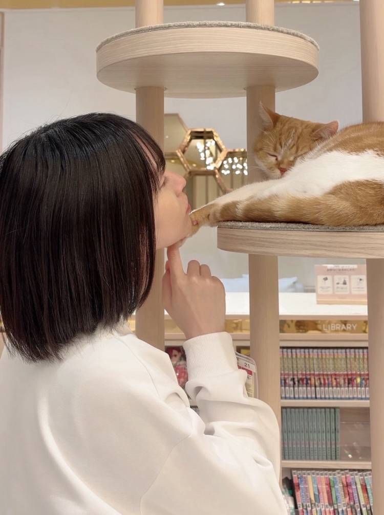 気温差ヾ(･ω･`;)ﾉ