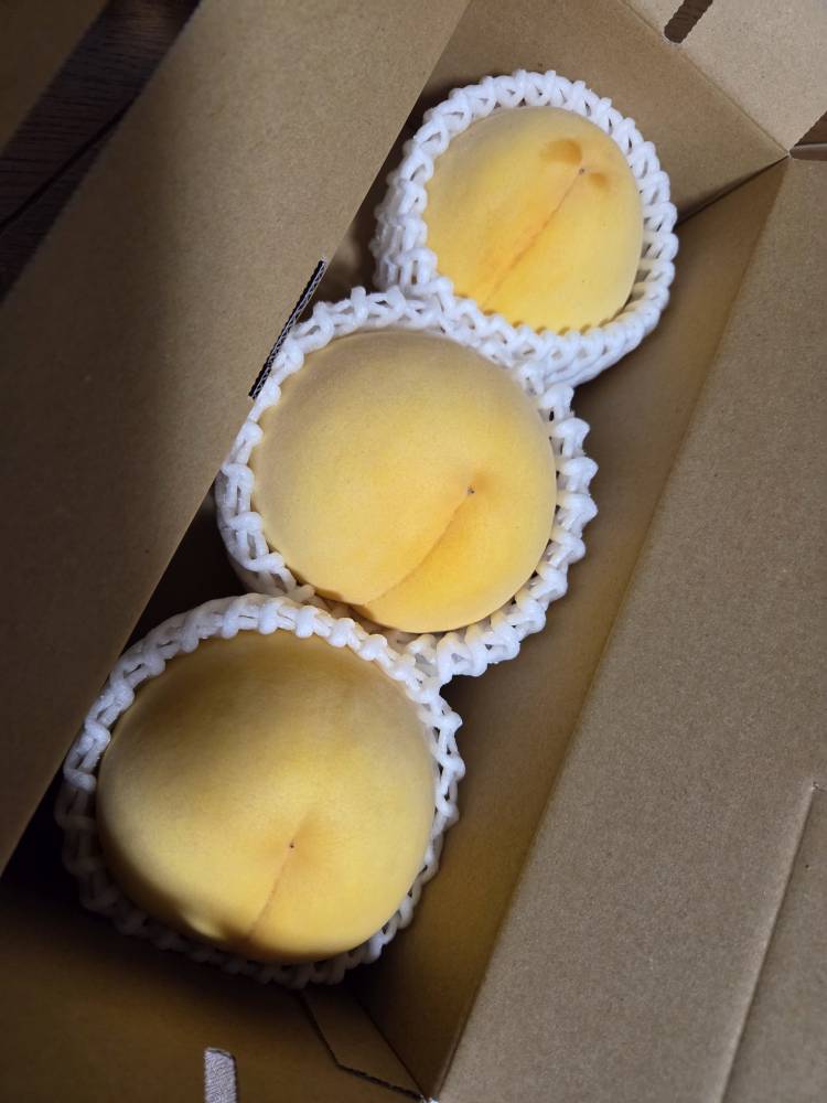 明日からだよ