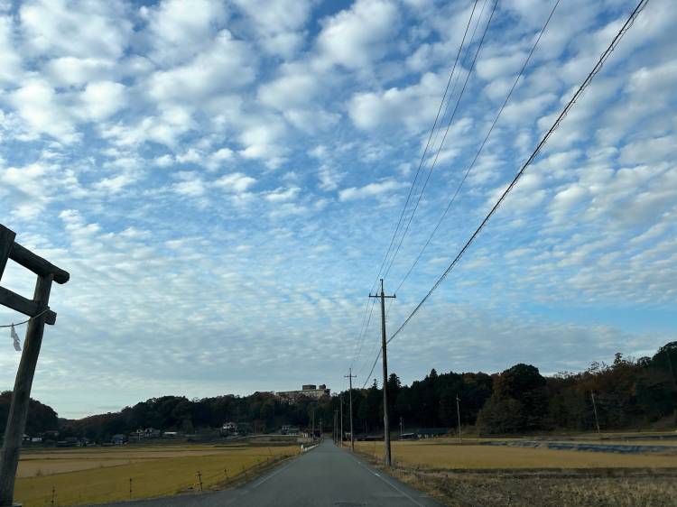 連休最終日