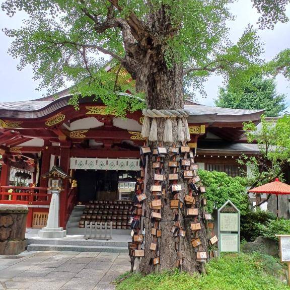 感度抜群のお兄さん