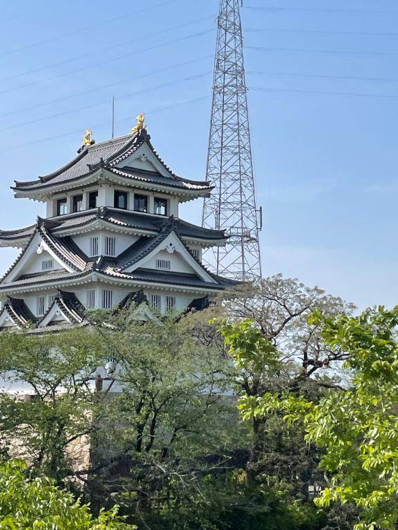 感じてくれて(/ω＼*)