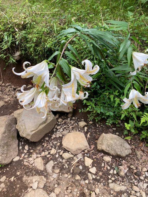 たくさん褒めてくれて🤲