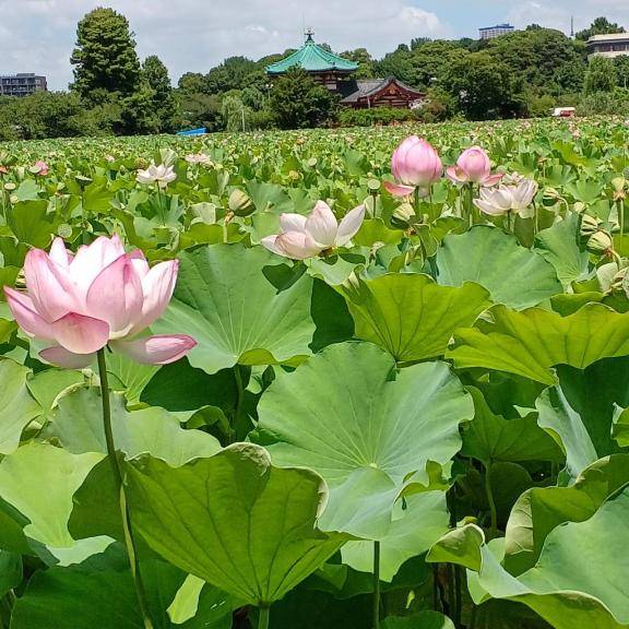 またの出勤時に♡