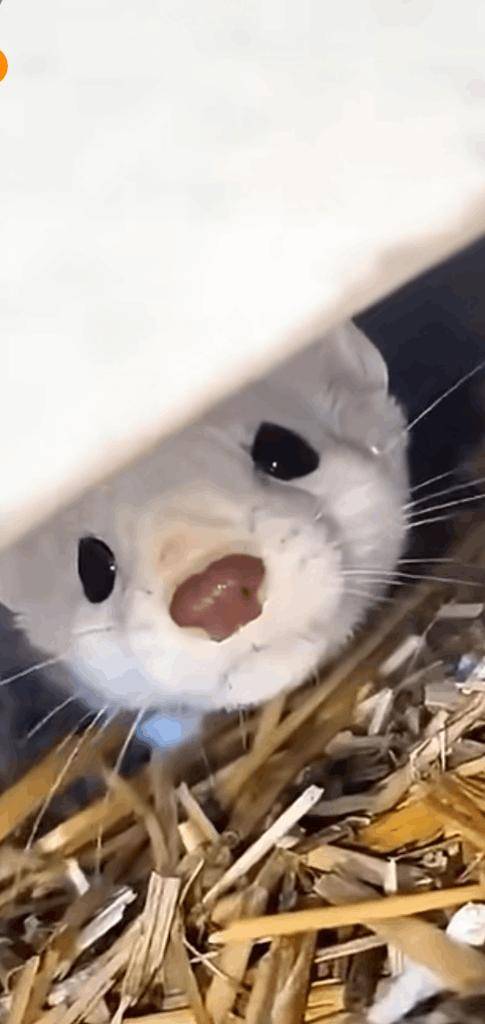 昨日のお礼💌💌💌