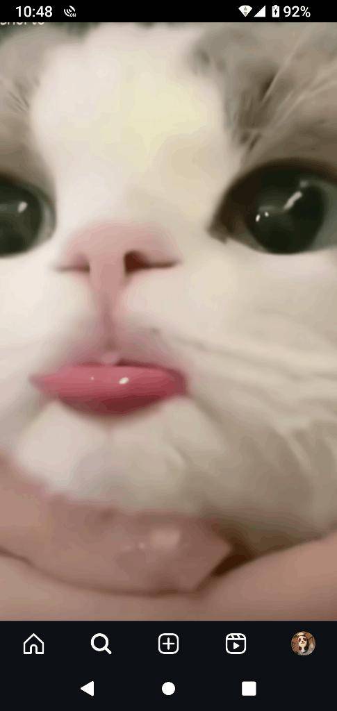 お礼💌💌💌