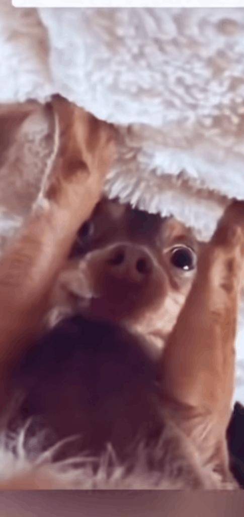 昨日のお礼💌💌💌💌