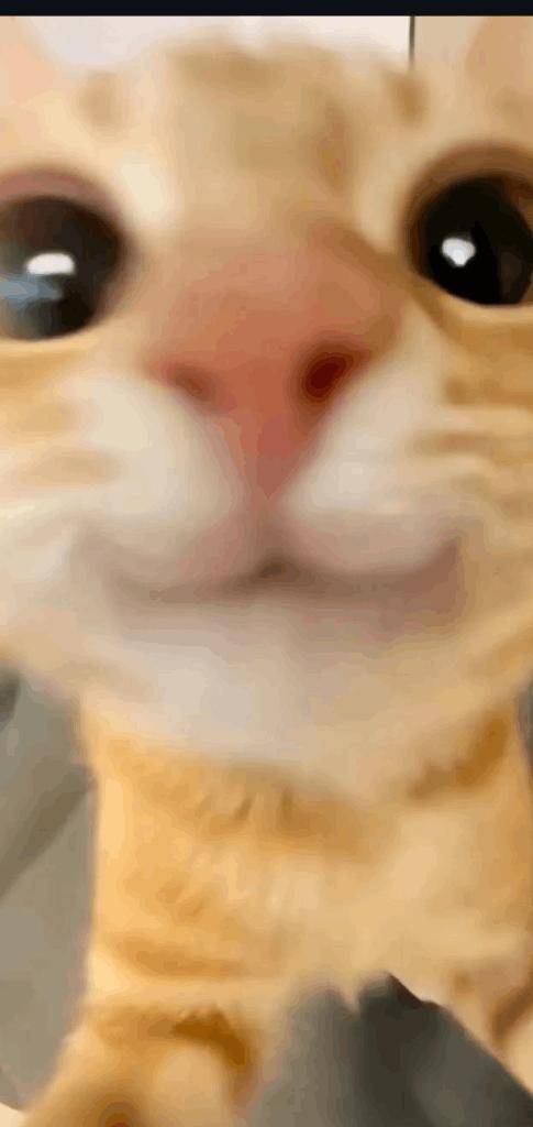 予定変更