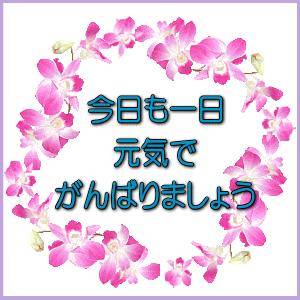おはようございます、まどかです〜