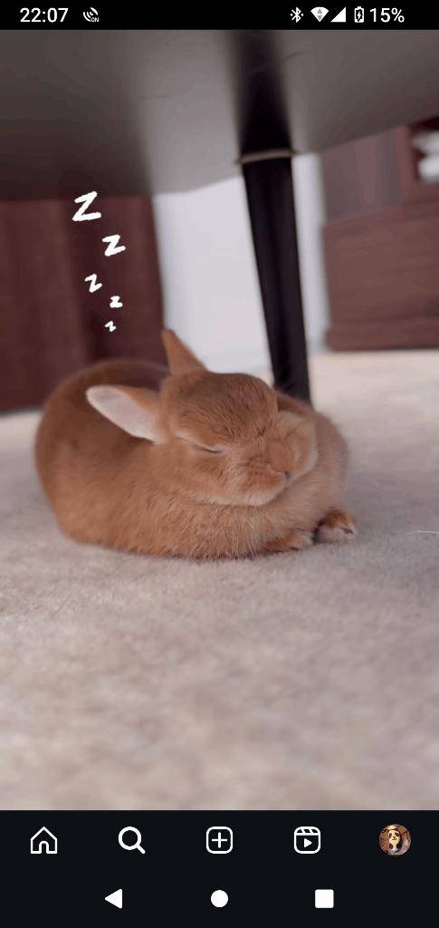 おやすみなさい♥️