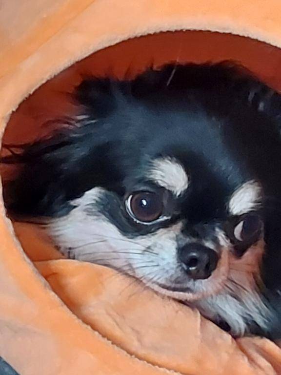 USAでの怖い出来事、その後。