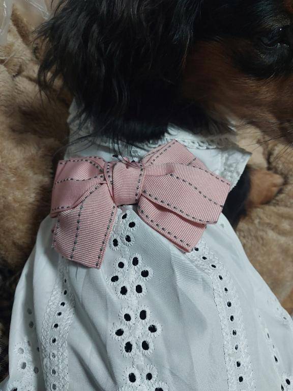 [お題]from:お腹痛い…さん