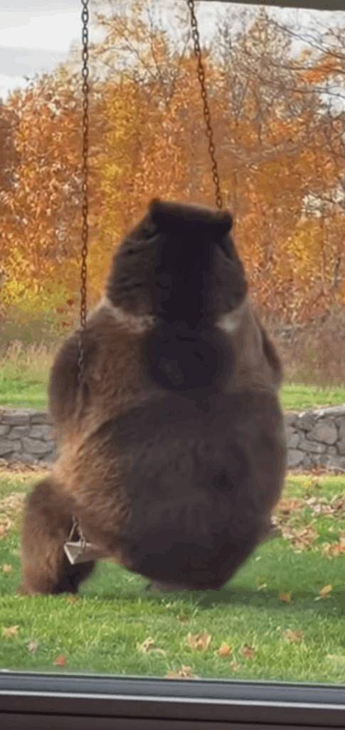 お風呂上がり❤️