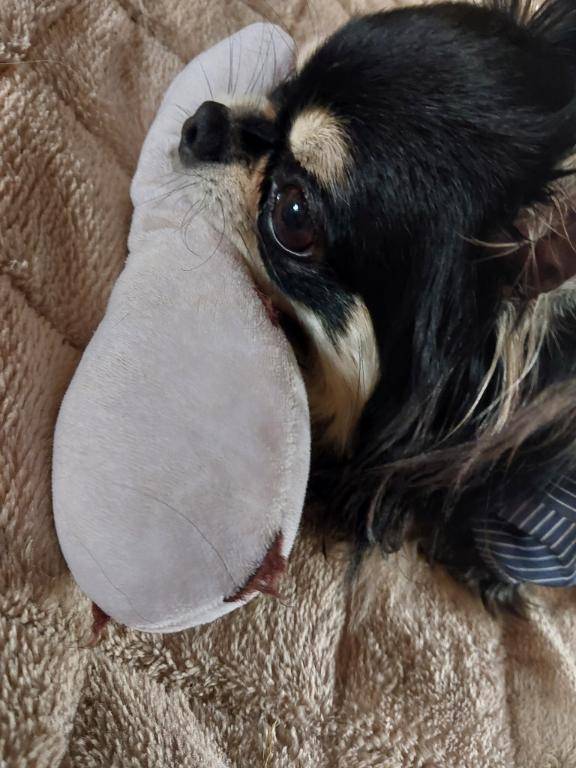 こんばんは♡♡