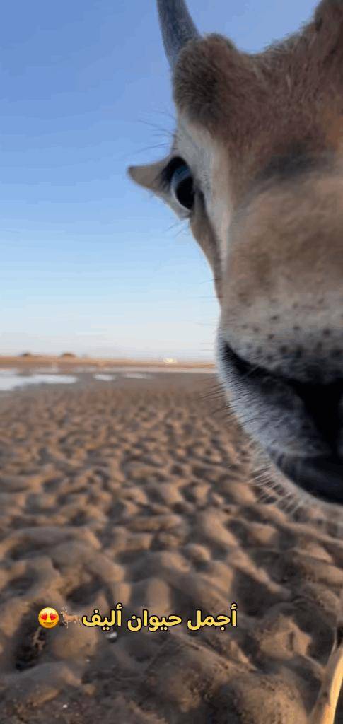 昨日のお礼💌💌💌