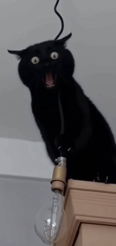 昨日はありがとう❤️