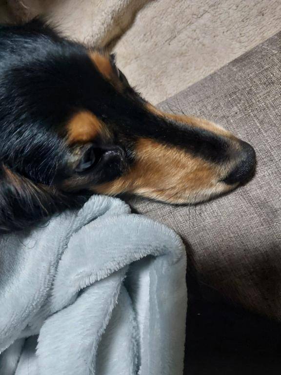 [お題]from:空水さん