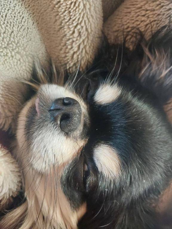 こんばんわ♡♡